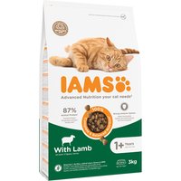 IAMS Advanced Nutrition Adult Cat mit Lamm - 3 kg von Iams