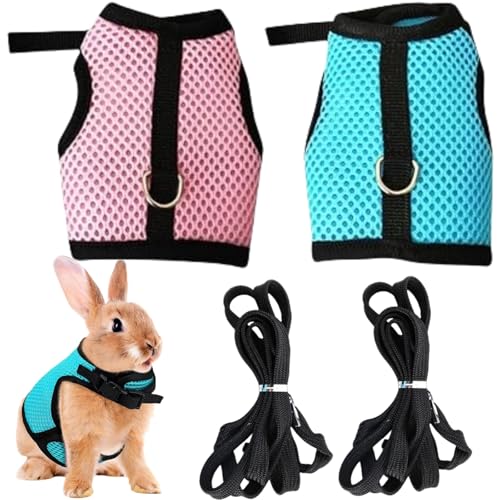 IATAHI Kaninchen Leine,Kaninchen Geschirr mit Leine,Verstellbare Katzengeschirr Kaninchen,Zwergkaninchen Katzen Geschirr,Geschirr Hasenleine,Mesh Kaninchen Geschirr,Haustier Hasen Geschirr von IATAHI