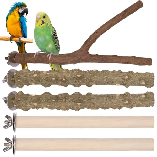 IATAHI Naturholz Vogel Sitzstangen,5pcs Natur Sitzstangen,Natur Sitzstangen Set,Vogel Spielzeug Sitzstangen Set,Stehend Vogelkäfig Zubehör,Für Vögel wie Wellensittich,Für Vogelkäfige Sitzstangen von IATAHI