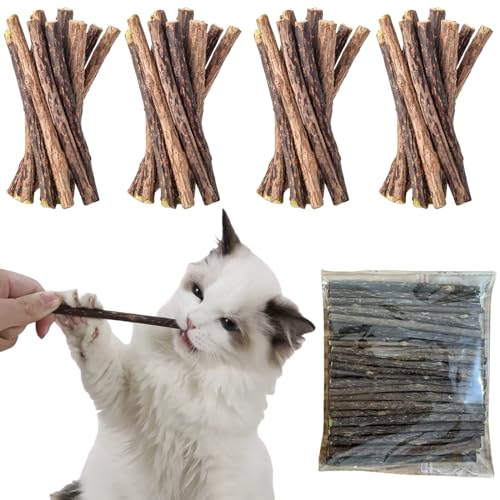Katzenminze Sticks,40 Stück Matatabi-Kausticks,Matatabi Katzen Kauhölzer, Katzenminze Spielzeug,Katzen Kauhölzer Sticks für Katzen,Katzenminze Sticks zum Schleifen von Zähnen,Matatabi Zahnpflege Katzenminze Sticks,40 Stück Matatabi-Kausticks,Matatabi Katzen Kauhölzer, Katzenminze Spielzeug,Katzen Kauhölzer Sticks für Katzen,Katzenminze Sticks zum Schleifen von Zähnen,Matatabi Zahnpflege von IATAHI