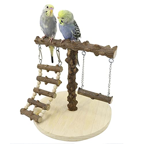 Papageienständer Holz - Spielständer aus Papageienholz | Trainingsständer mit Leiter und Schaukel Nymphensittich-Spielplatz für Haustier-Vogel-Spielzeug Ibuger von IBUGER