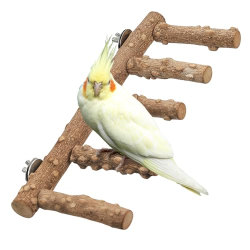 IBWell Vogelleiter für Käfig Vogelständer für Papageien Sittiche Sitzstangen Nymphensittiche Natur Vogelsitzstangen Wellensittiche Sitzstange IBWell Vogelleiter für Käfig Vogelständer für Papageien Sittiche Sitzstangen Nymphensittiche Natur Vogelsitzstangen Wellensittiche Sitzstange von IBWell