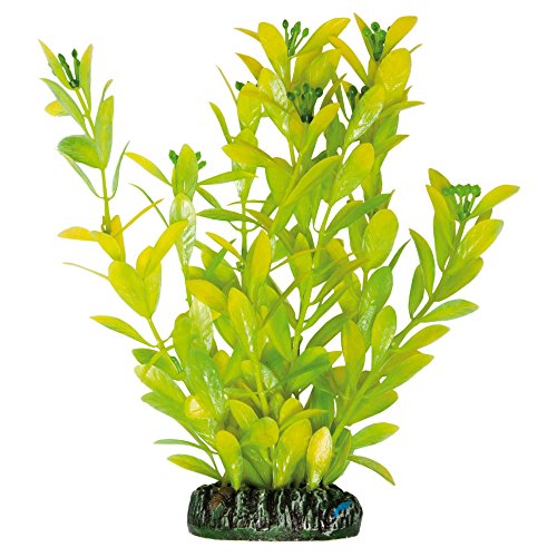 ICA AP1021 Hygrophila Polysperma von Aquatic Pflanzen, Kunststoff von ICA