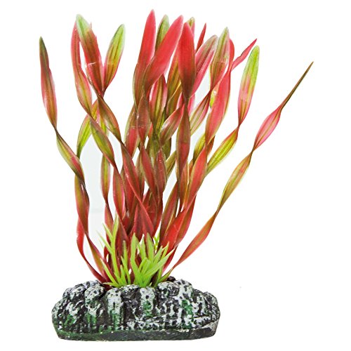 ICA Aquatic Plants AP1031 Künstliche Vallisneria Pflanze für Aquarien, 10,5 cm ICA Aquatic Plants AP1031 Künstliche Vallisneria Pflanze für Aquarien, 10,5 cm von ICA