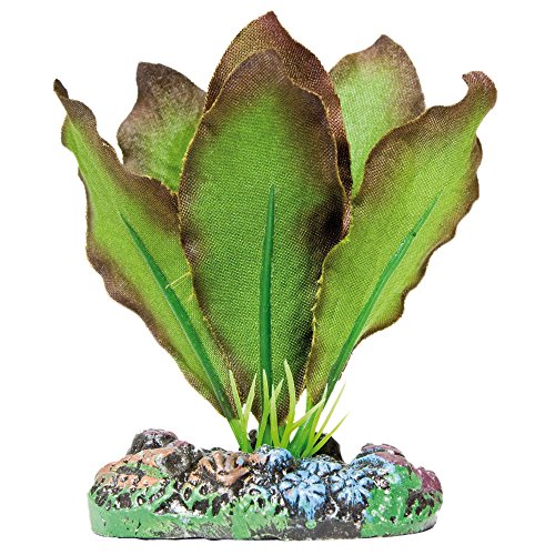 ICA AP1102 Anubias de Aquatic Pflanzen Seide von ICA