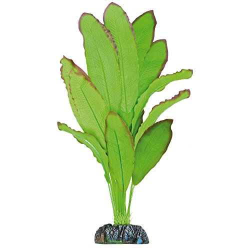 ICA AP1110 Seidenpflanze Echinodorus Spidemet von ICA