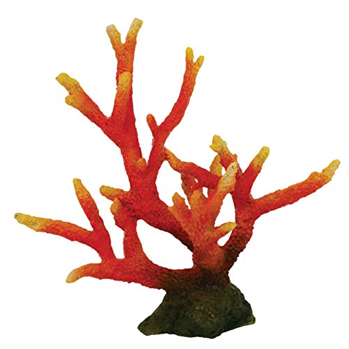 ICA Coral Diablo Rot 22,5 cm 750 g von ICA