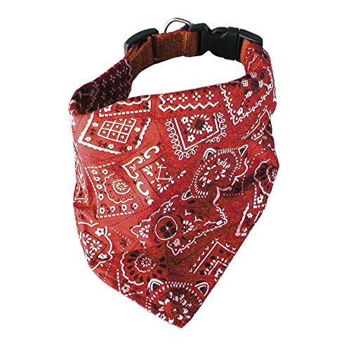 ICA Hundehalsband, Rot, M, Nylon, Größe: M, Paisley-Muster, für Erwachsene, Mediumhunde von ICA