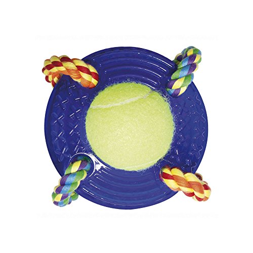 ICA DYZ602 Tennisspielzeug in Form eines Kreises ICA DYZ602 Tennisspielzeug in Form eines Kreises von ICA