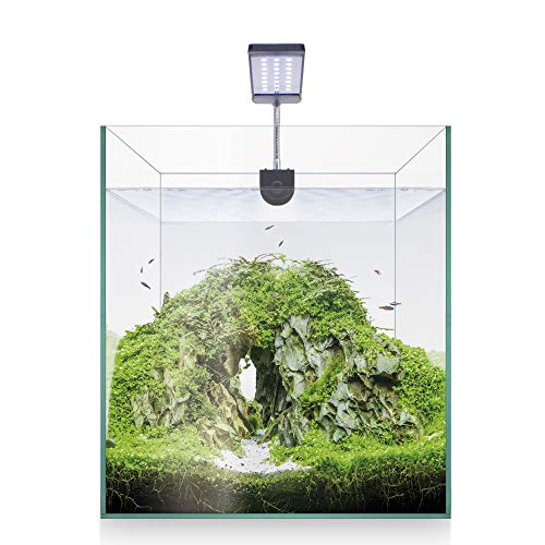 ICA Kit Nano Aquascape RGB 25 x 25 cm 8.95 kg Aquarium für Fische mit Glasbecken und modernem Design ICA Kit Nano Aquascape RGB 25 x 25 cm 8.95 kg Aquarium für Fische mit Glasbecken und modernem Design von ICA
