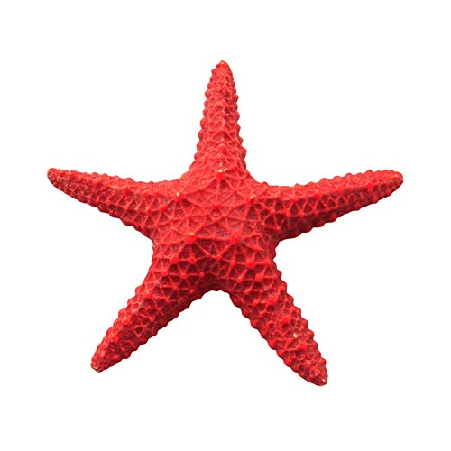 ICA Roter Seestern, 15,5 cm, 230 g von ICA
