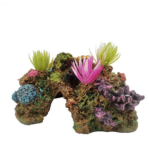 ICA Set Coral-Reef Länge 19 cm 630 g von ICA