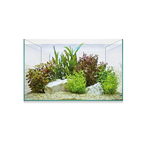 ICA Urna Aquascape Basic 8 6.8 ml ICA Urna Aquascape Basic 8 6.8 ml von ICA