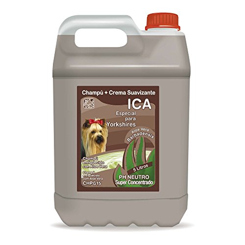 ICA CHPG19 Spezial-Shampoo für Yorkshire mit Aloe Vera, pH-neutral, weiches und seidiges Fell, mit Lavendelduft, 5 l von ICA