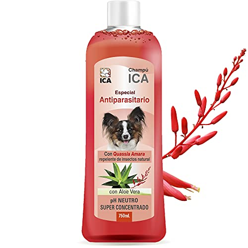 ICA chpm20 antiparásitos mit Aloe Vera Shampoo für Hunde von ICA