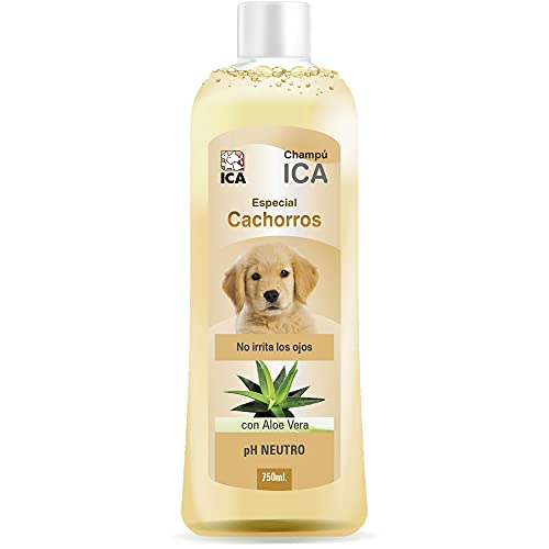 ICA chpm23 Shampoo mit Aloe Vera für Welpe von ICA