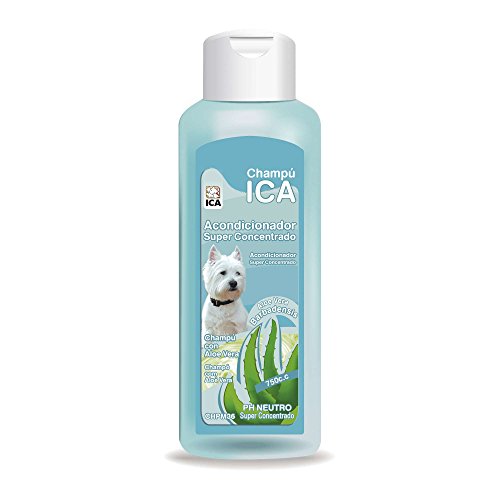 ICA chpm36 Shampoo mit Aloe Vera Conditioner für Hunde von ICA