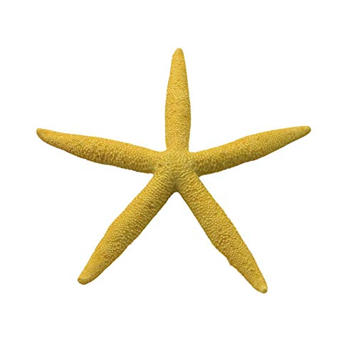 ICA feiner gelber Stern, 15,5 cm, 80 g von ICA