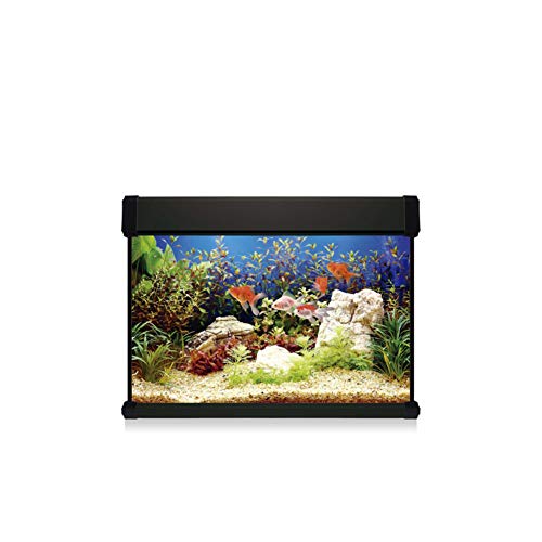 ICA kxp68 N Kit Aqua Lux Pro 68 mit Filter Innenraum ICA kxp68 N Kit Aqua Lux Pro 68 mit Filter Innenraum von ICA