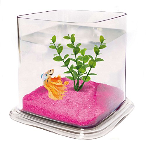 ICA Aquarium Betta Paradise, Glas, Rechteckig, Fisch, Modern, Innenbereich von ICA