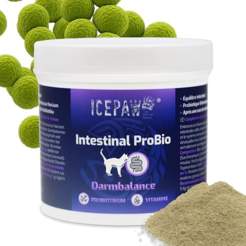 ICEPAW Intestinal ProBio (90g) | für optimales Darmgleichgewicht | speziell bei empfindlichem Magen-Darm-Trakt von Hunden von ICEPAW by Michael Tetzner