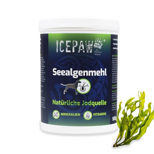 ICEPAW Seealgenmehl (500g) 100% Meeresalge Ascophyllum Nodosum Für Schilddrüsenfunktion und Fellpigmentierung von ICEPAW by Michael Tetzner