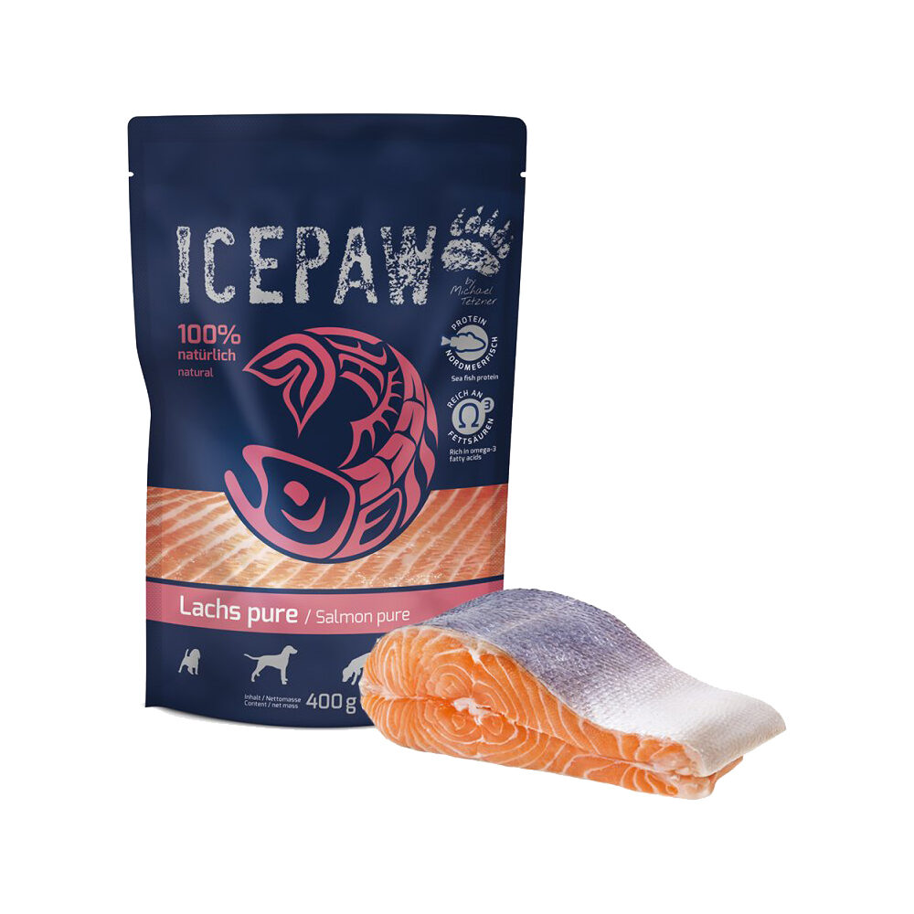 ICEPAW Lachs Pur - 12 x 100 Gramm von ICEPAW