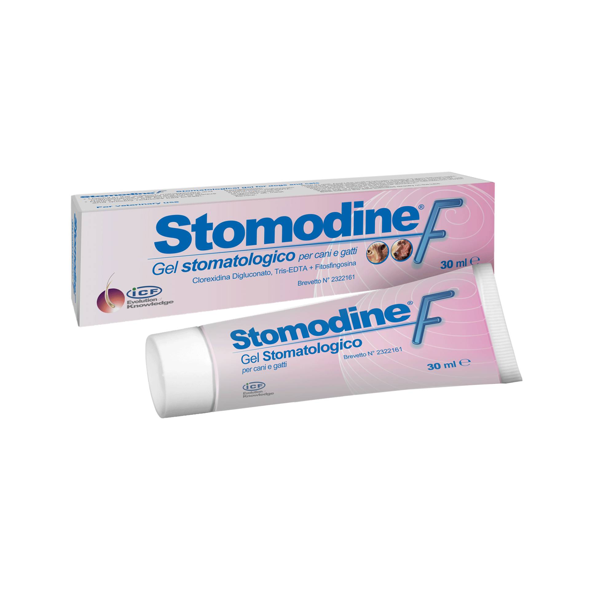 Stomodine® F - 30 ml von ICF