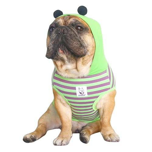 iChoue Französische Bulldogge, Hummelkostüm, Kleidung, Kapuzenpullover, Hemd, Weste für mittelgroße Hunde, kaltes Wetter, Wintermäntel, Frenchie, Englischer Mops, Boston Terrier, Grün/Lila, Größe L von ICHOUE