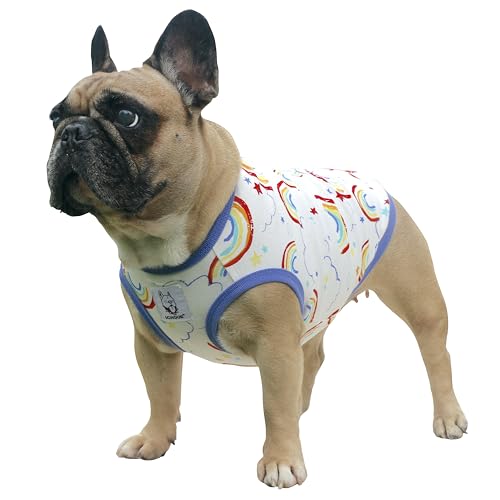 iChoue Französische Bulldogge Cartoon-T-Shirt, niedliche Kleidung für mittelgroße Hunde, Weste, Tank-Top, Frenchie, English Boston Terrier, Pitbull Rainbow – Größe L Plus iChoue Französische Bulldogge Cartoon-T-Shirt, niedliche Kleidung für mittelgroße Hunde, Weste, Tank-Top, Frenchie, English Boston Terrier, Pitbull Rainbow – Größe L Plus von ICHOUE