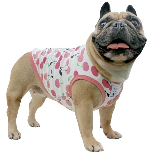 iChoue Französische Bulldogge Cartoon-T-Shirt, niedliche Kleidung für mittelgroße Hunde, Weste, Tank-Top, Frenchie, englischer Boston Terrier, Pitbull Cherry – Größe L Plus iChoue Französische Bulldogge Cartoon-T-Shirt, niedliche Kleidung für mittelgroße Hunde, Weste, Tank-Top, Frenchie, englischer Boston Terrier, Pitbull Cherry – Größe L Plus von ICHOUE