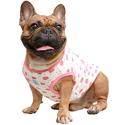 iChoue Haustier-Hunde-Shirt, Weste, ärmellos, Baumwolle, Obstdruck, Pyjama für Französische Bulldogge Mops, L, Erdbeere iChoue Haustier-Hunde-Shirt, Weste, ärmellos, Baumwolle, Obstdruck, Pyjama für Französische Bulldogge Mops, L, Erdbeere von ICHOUE