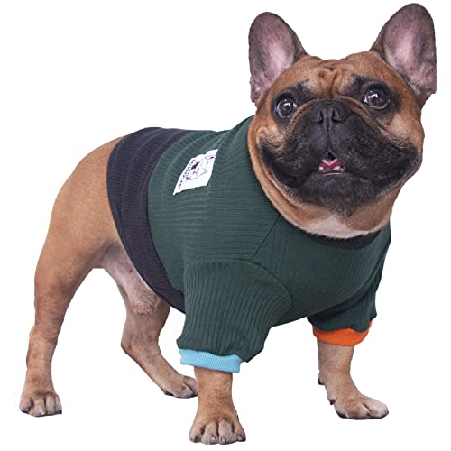 iChoue Haustier-Hundepullover mit Rundhalsausschnitt, Farbblock-Pullover, Winterkleidung, warme Kleidung für Englische Bulldogge, Boston Terrie, Grün und Schwarz/L+ von ICHOUE