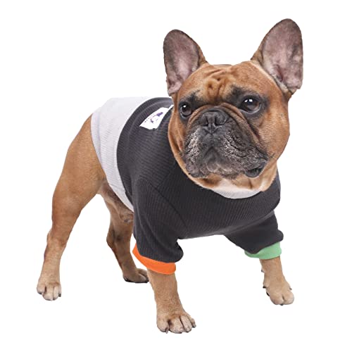 iChoue Haustier-Hundepullover mit Rundhalsausschnitt, Farbblock-Pullover, Winterkleidung, warme Kleidung für englische Bulldogge, Boston Terrie, Schwarz und Grau/Groß Plus von ICHOUE