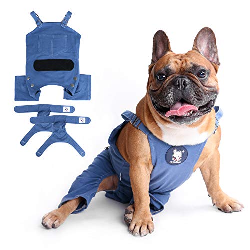iChoue Hunde-Hosenträger-Pyjama mit Windeln, waschbar, für Hunde, Größe L, Blau, mit 2 Windeln von ICHOUE