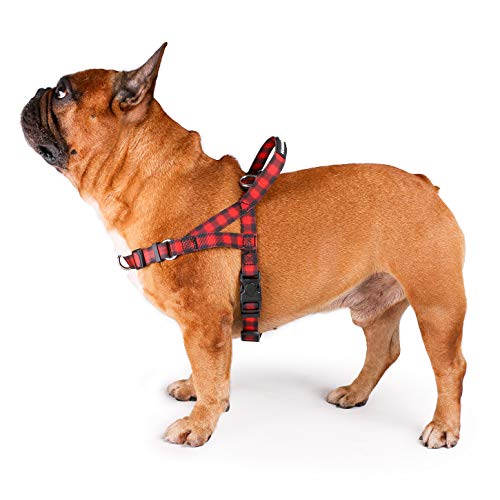 iChoue Hundegeschirr, einfaches An- und Ausziehen, 2 Leinenbefestigungen, verstellbar, leicht, für kleine und mittelgroße Hunde, Größe L, rotes Gitter von ICHOUE
