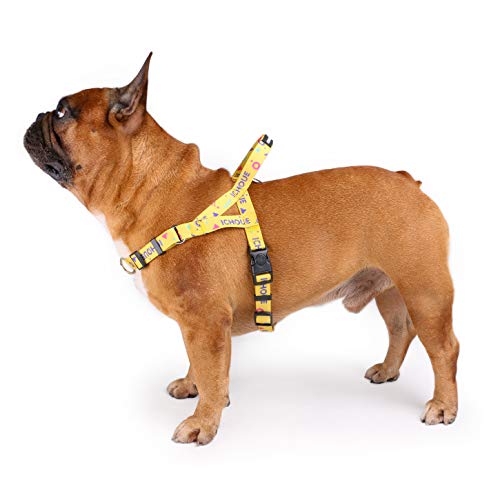 iChoue Hundegeschirr, einfaches An- und Ausziehen, 2 Leinenbefestigungen, verstellbar, leicht, für kleine und mittelgroße Hunde, Größe M, mehrfarbig von ICHOUE