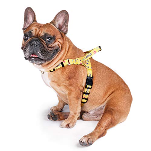 iChoue Hundegeschirr, einfaches An- und Ausziehen, 2 Leinenbefestigungen, verstellbar, leicht, für kleine und mittelgroße Hunde, Größe S, mehrfarbig von ICHOUE
