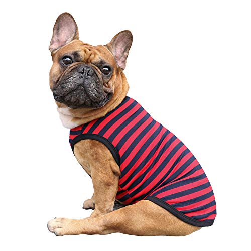 iChoue T-Shirt mit französischer Bulldogge, 100% atmungsaktive Baumwolle, gestreift, Halloween, Weste, Kleidung für mittelgroße Hunde, Tank-Top, Frenchie, Mops, Englischer Boston Terrier, Pitbull, iChoue T-Shirt mit französischer Bulldogge, 100% atmungsaktive Baumwolle, gestreift, Halloween, Weste, Kleidung für mittelgroße Hunde, Tank-Top, Frenchie, Mops, Englischer Boston Terrier, Pitbull, von ICHOUE
