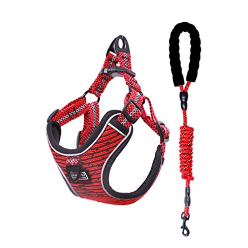 ICOBES Haustier Harness Reflektierende Haustier Mittelgroße Gepolsterte Sicherheitsgurt Und Leine Set Für Haustiere Einstellbare Haustier Zubehör/Eine Farbe/*-Klein ICOBES Haustier Harness Reflektierende Haustier Mittelgroße Gepolsterte Sicherheitsgurt Und Leine Set Für Haustiere Einstellbare Haustier Zubehör/Eine Farbe/*-Klein von ICOBES