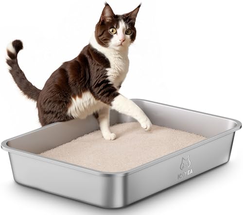 Edelstahl Katzenklo, Große Katzentoilette, XXL Katzentoilette Edelstahl Offen, Metall Katzenklo für Katzen Aller Größen & Kaninchen, Antihaftbeschichtet, Geruchsfrei, Leicht zu Reinigen, 50x35x10cm Edelstahl Katzenklo, Große Katzentoilette, XXL Katzentoilette Edelstahl Offen, Metall Katzenklo für Katzen Aller Größen & Kaninchen, Antihaftbeschichtet, Geruchsfrei, Leicht zu Reinigen, 50x35x10cm von ICOYEA