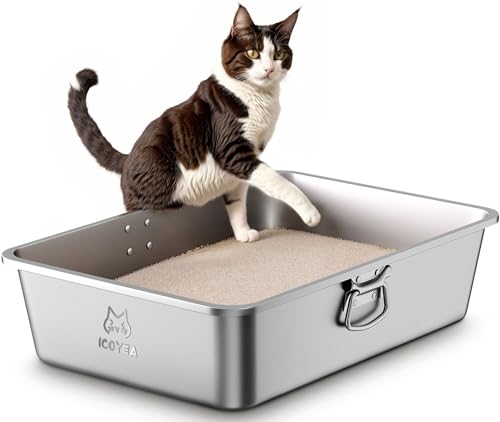 Edelstahl Katzenklo mit Griffen & Schaufel, Große Katzentoilette, XXL Katzentoilette Edelstahl Offen, Metall Katzenklo für Katzen Aller Größen & Kaninchen, Geruchsfrei, Leicht zu Reinigen, 60x40x15cm Edelstahl Katzenklo mit Griffen & Schaufel, Große Katzentoilette, XXL Katzentoilette Edelstahl Offen, Metall Katzenklo für Katzen Aller Größen & Kaninchen, Geruchsfrei, Leicht zu Reinigen, 60x40x15cm von ICOYEA