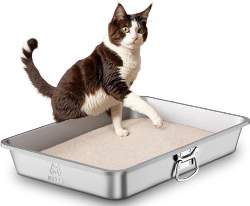 Edelstahl Katzenklo mit Griffen & Schaufel, Große Katzentoilette, XXL Katzentoilette Edelstahl Offen, Metall Katzenklo für Katzen Aller Größen & Kaninchen, Geruchsfrei, Leicht zu Reinigen, 60x40x10cm Edelstahl Katzenklo mit Griffen & Schaufel, Große Katzentoilette, XXL Katzentoilette Edelstahl Offen, Metall Katzenklo für Katzen Aller Größen & Kaninchen, Geruchsfrei, Leicht zu Reinigen, 60x40x10cm von ICOYEA