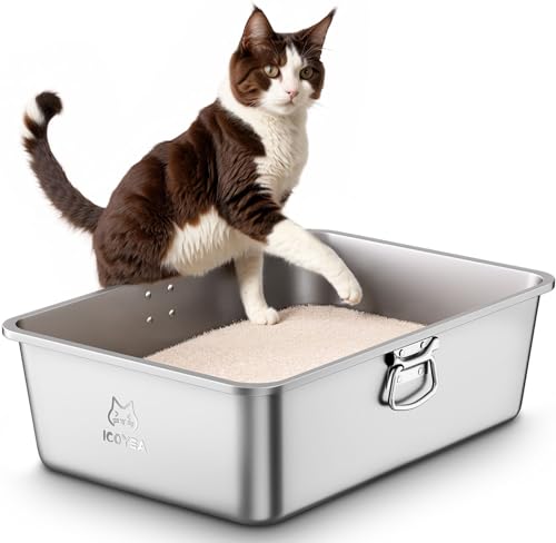 Edelstahl Katzenklo mit Griffen & Schaufel, Große Katzentoilette, XXL Katzentoilette Edelstahl Offen, Metall Katzenklo für Katzen Aller Größen & Kaninchen, Geruchsfrei, Leicht zu Reinigen, 60x40x20cm Edelstahl Katzenklo mit Griffen & Schaufel, Große Katzentoilette, XXL Katzentoilette Edelstahl Offen, Metall Katzenklo für Katzen Aller Größen & Kaninchen, Geruchsfrei, Leicht zu Reinigen, 60x40x20cm von ICOYEA