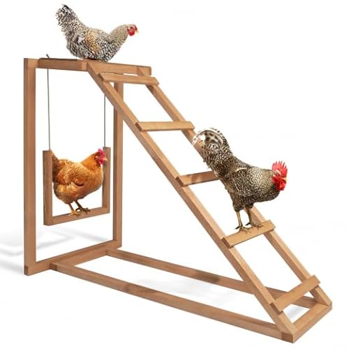 IDMarket - Spielplatz aus Holz für Hühner mit Schaukel und Sitzstange von IDMarket