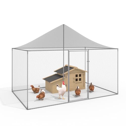 IDMarket - Voliere, 6 m², Gittergehege, 3 x 2 m, Hühnerstall für Kleintiere von IDMarket