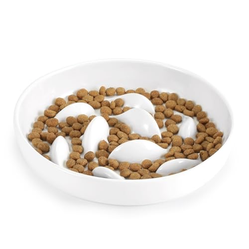 IDOGCHEW Anti Schling Napf Keramik, Antischlingnapf Katze mit Hohen Rändern gegen Herausfallen und Einfach zu Reinigen, Slow Feeder für Katzen und Kleine Hunde, Weiss IDOGCHEW Anti Schling Napf Keramik, Antischlingnapf Katze mit Hohen Rändern gegen Herausfallen und Einfach zu Reinigen, Slow Feeder für Katzen und Kleine Hunde, Weiss von IDOGCHEW
