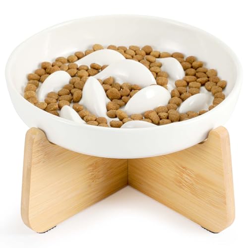 IDOGCHEW Keramik Anti Schling Napf Katze Erhöht, Schlingnapf Katze Nassfutter - Slow Feeder, rutschfest, Einfach zu Reinigen, Antischlingnapf für Katzen und Kleine Hunde, Weiss von IDOGCHEW