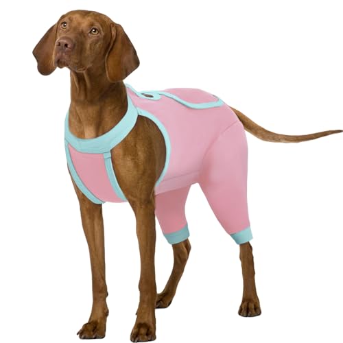 IDOMIK Hunde-Genesungsmanschette für Hinterbeine, Hunde-Genesungsanzug für weibliche Kastanien, Hundebeinmanschette gegen Lecken der Hinterbeine, lange Ärmel, Wundschutz, Einteiler für Hunde IDOMIK Hunde-Genesungsmanschette für Hinterbeine, Hunde-Genesungsanzug für weibliche Kastanien, Hundebeinmanschette gegen Lecken der Hinterbeine, lange Ärmel, Wundschutz, Einteiler für Hunde von IDOMIK