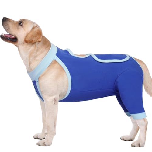 IDOMIK Hunde-Genesungsmanschette für Hinterbeine, Hunde-Genesungsanzug für weibliche Kastanien, Hundebeinmanschette gegen Lecken der Hinterbeine, lange Ärmel, Wundschutz, Einteiler für Hunde IDOMIK Hunde-Genesungsmanschette für Hinterbeine, Hunde-Genesungsanzug für weibliche Kastanien, Hundebeinmanschette gegen Lecken der Hinterbeine, lange Ärmel, Wundschutz, Einteiler für Hunde von IDOMIK